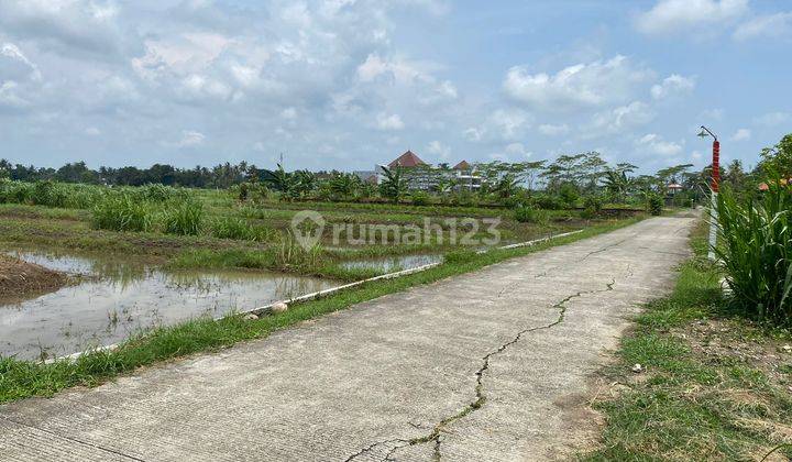 Jual Tanah Dekat Perkantoran Wates Kulonorogo Jogja 1