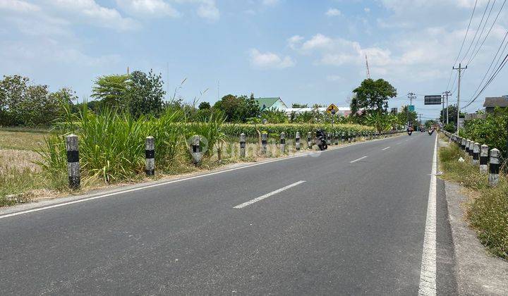 Tanah Godean Tepi Aspal Strategis Dekat Pasar Bibis, Jogja 1