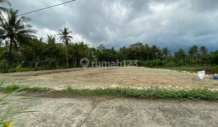 Jual Tanah Dekat Bandara Yia Jogja, 100 Juta an Murah 1