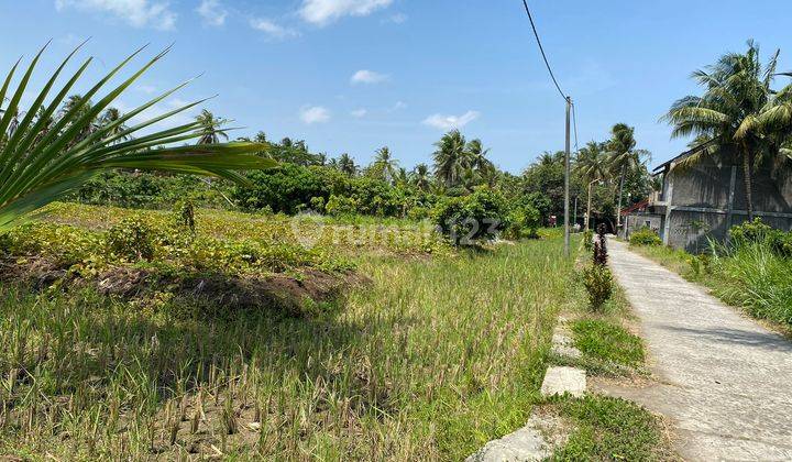  Jual Tanah Tawangsari Kulon Progo Dekat Wates Kota, Jogja Barat 2