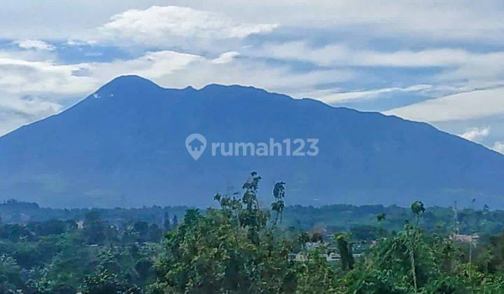 Dijual Kebun & Mata Air di Pasir Angin Megamendung Bogor 2