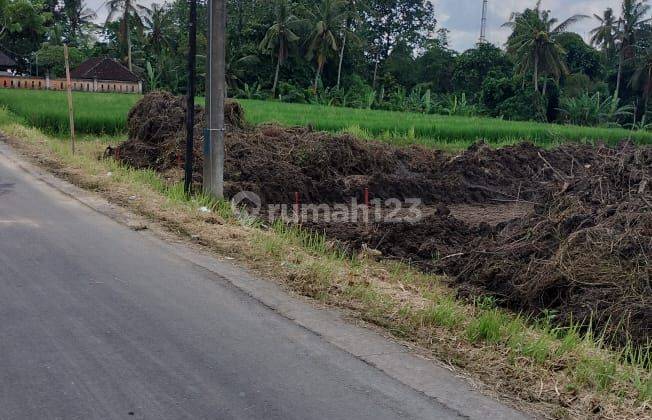 Perumahan Baru Dijual Di Kediri Tabanan.tidak Jauh Dari Denpasar 2