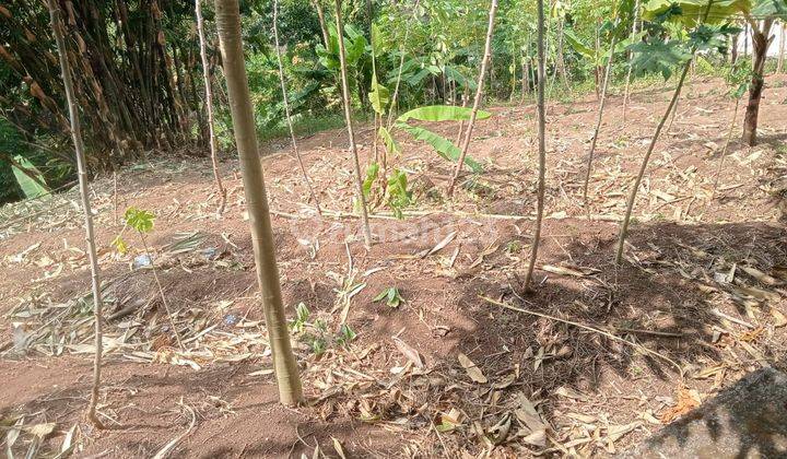 Tanah d zona industri cocok utk gudang ato pabrik kcil rumahan. 2