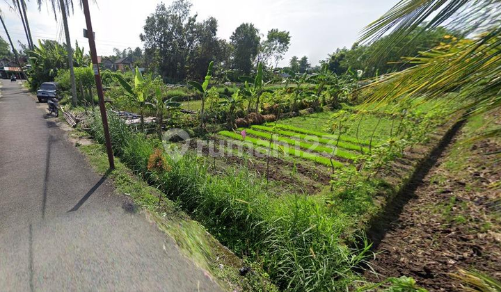 Kaliurang Land 200 meters from UII Campus. Close to Kaliurang Street, suitable for boarding house. Kaliurang Land 200 meters from UII Campus. Close to Kaliurang Street, suitable for boarding house.