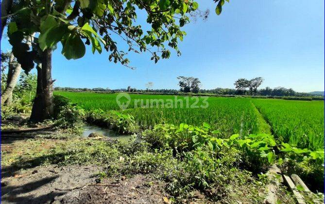 Nego Pemilik, Beli Tanah Kulonprogo Kawasan Aerotropolis Bandara 2