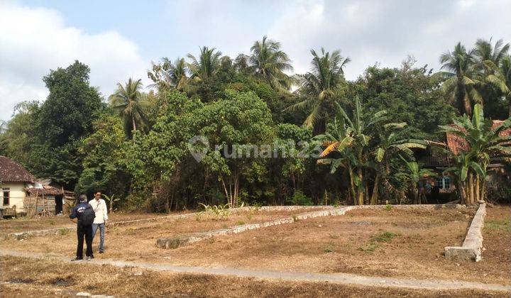 Dekat Kota Wates Jogja, Kulon Progo Tanah Murah 1 Jutaan 1