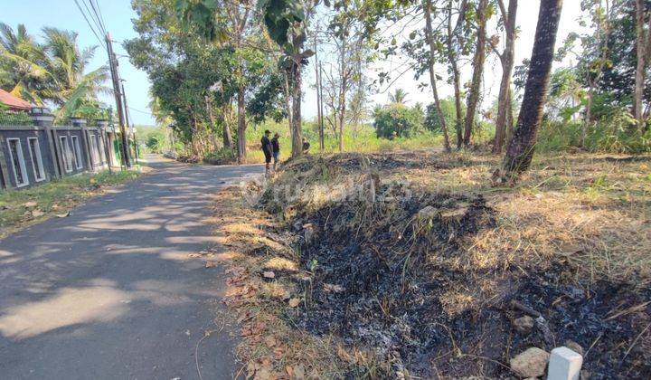 Tanah Murah Di Area Perum Balecatur Sleman Jogja, SHM Siap Ajb 1