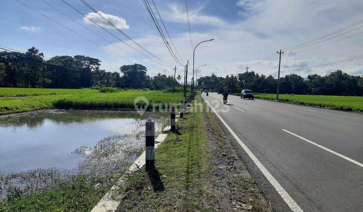 Tanah Murah Mangku Aspal Jl. Jogja Wates, Cocok Investasi SHM 2