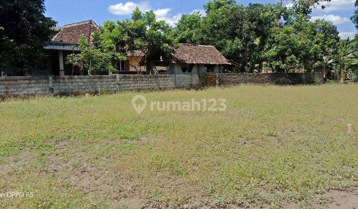 Dekat Candi Prambanan Jogja, Tanah Luas Dijual, Klaten Jateng 2