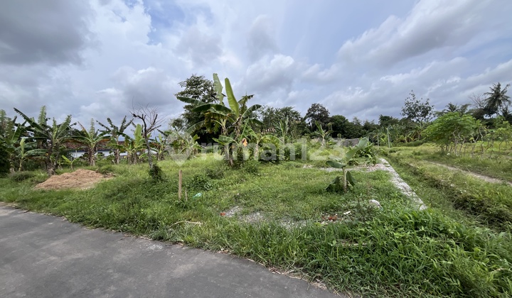 100 M Jl. Kebon Agung, Tanah Murah Sleman View Sawah Full Fasum, Sleman Yogkarta