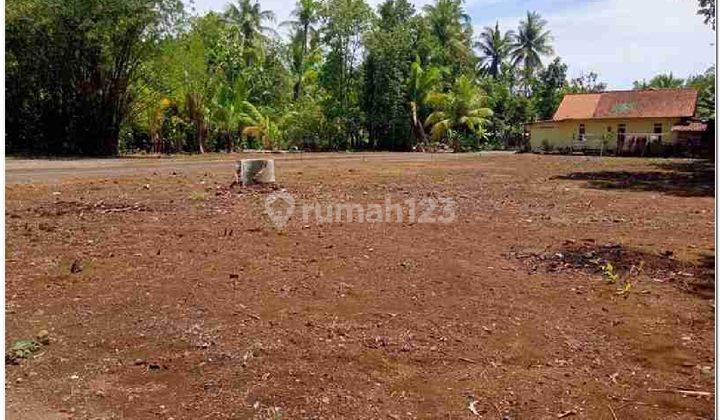 Dekat Kampus UNY Dan Bandara YIA, SHM Ready Siap Bangun Dekat Kota Wates Jogja, Kulon Progo Tanah Murah 1 JUTAAN, DEKAT BANDARA COCOK HUNIAN 2