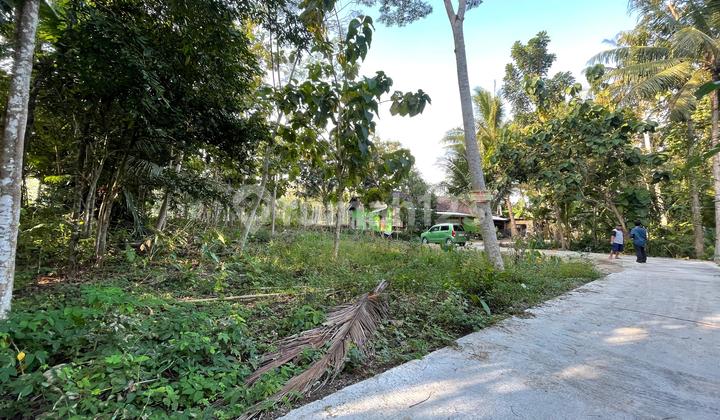 900 Meter Jl. Nasional III, Tanah Depan Bandara YIA, Cocok Investasi atau Hunian 900 Meter Jl. Nasional III, Tanah Depan Bandara YIA, Cocok Investasi atau Hunian