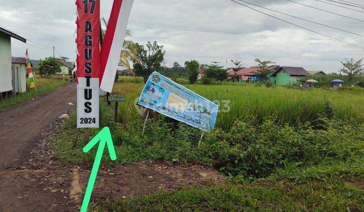 Dijual Cepat Tanah Daerah Selat Dalam, Kapuas, Kalimantan Tengah 2