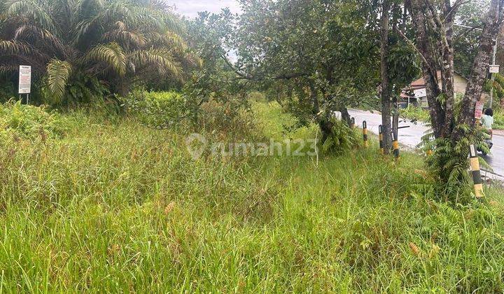 Dijual Cepat Tanah Kosong Kota Palangka Raya, Kalimantan Tengah 1