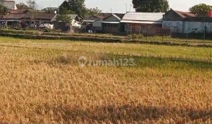 Tanah Lahan Murah Strategis Bangun Perum di Cicalengka Bandung  2