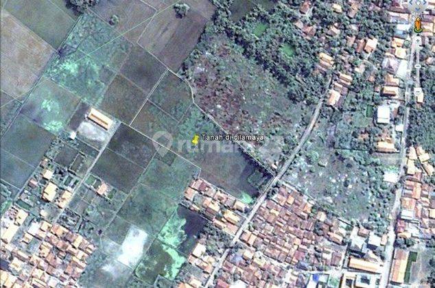 Jual Tanah Murah Cocok Bangun Perum di Cilamaya Karawang Jual Tanah Murah Cocok Bangun Perum di Cilamaya Karawang