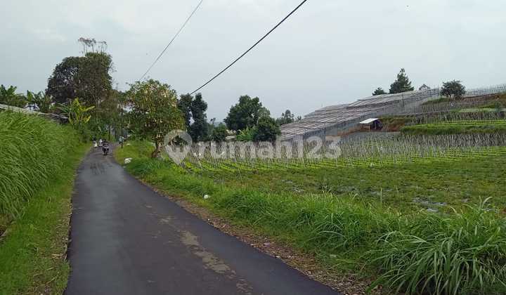 Tanah Kavling Murah di Parongpong Bandung Barat