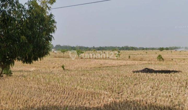 Jual Tanah Luas Strategis di Jalan Raya Propinsi Majalengka 2