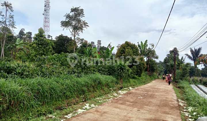 Jual Tanah Murah di Cikuya Cicalengka Bandung Jual Tanah Murah di Cikuya Cicalengka Bandung