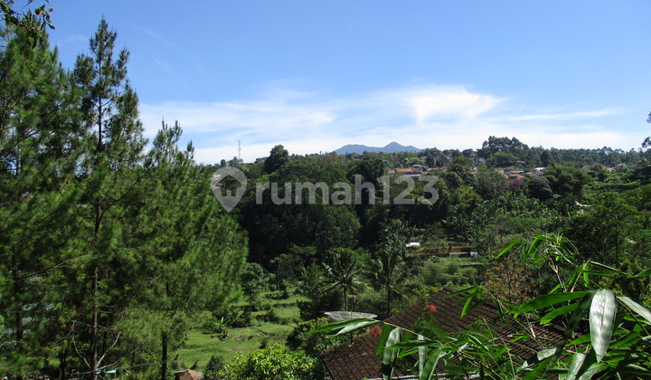 Affordable Land Suitable for Building a Livestock Tourism Business in Lembang, Bandung