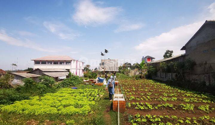 Tanah Kavling Murah Siap Bangun di Sebelah Polsek Cisarua Bandung 2