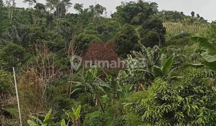 Jual Murah Tanah Kavling Luas di Dago Bukit Pakar Utara Bandung