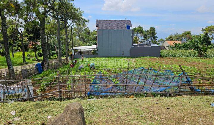Tanah Kavling Murah di Perum Komplek Katumiri Cihanjuang Bandung 1