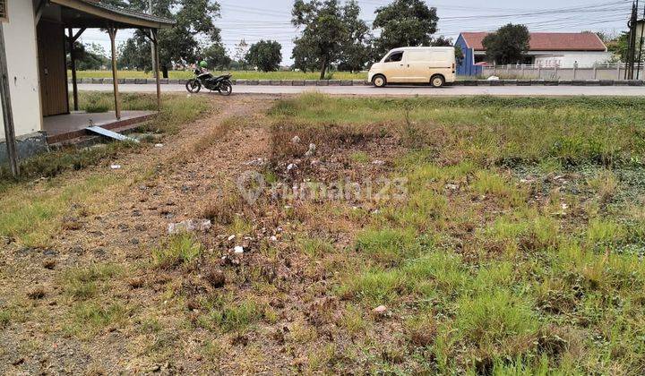 Tanah Strategis Bangun Usaha di Pantura Subang 1