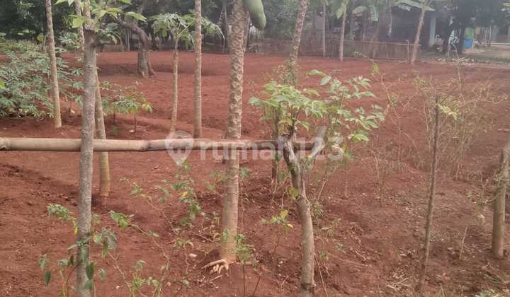 Dijual Tanah Bagus Di Griya Pratama Mas,taman Rahayu, Setu Bekasi Dijual Tanah Bagus Di Griya Pratama Mas,taman Rahayu, Setu Bekasi