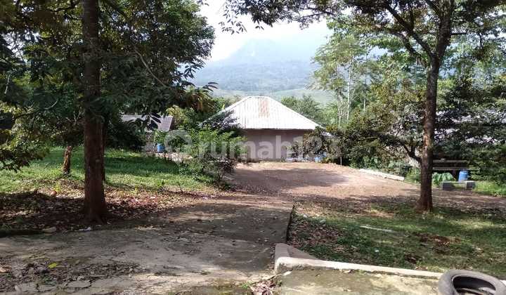 Dijual Cepat Lahan Perkebunan Dan Peternakan Murah Didesa Selawangi, Tanjungsari, Bogor Dijual Cepat Lahan Perkebunan Dan Peternakan Murah Didesa Selawangi, Tanjungsari, Bogor