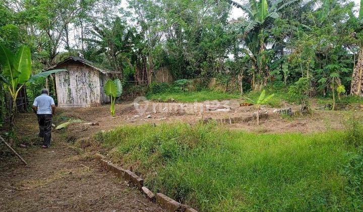 Dijual Tanah Murah Meriah di Jasinga Bogor Jawa Barat  2