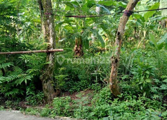 Dijual tanah didesa cikasungka solear kabupaten tangerang 1