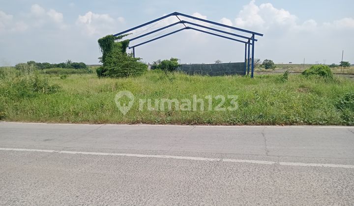 Quick sale land in Wanasaba, Serang City