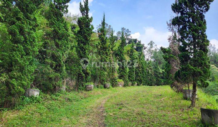 Lahan Luas Siap Pakai Dago Pakar, Bandung 2