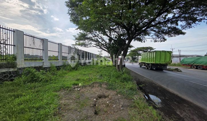 Hot Property For Sale !!! Lahan Industri Mainroad 13,7 Hektar di Cirebon