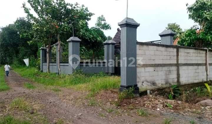 Tanah Komersial Ada Pagar Keliling Mojo Ringinarum Kendal 2
