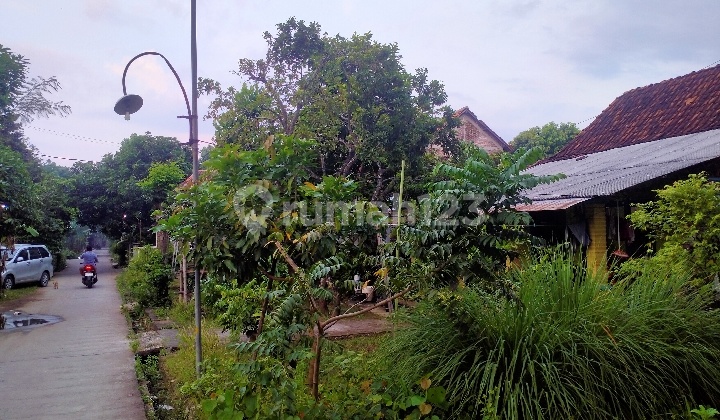 Tanah Plus Rumah Cepiring Kendal  2