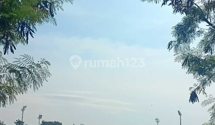Tanah Sawah Pertanian Produktif Kebondalem Kendal 2