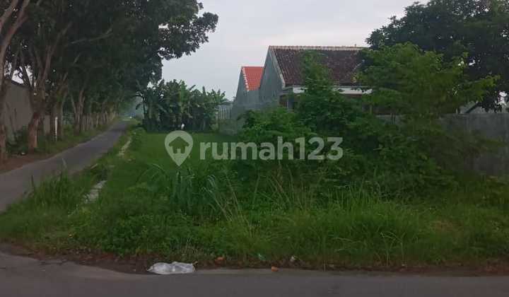 Vacant Land for Rent - Mlati District, Sleman Regency, Special Region of Yogyakarta Vacant Land for Rent - Mlati District, Sleman Regency, Special Region of Yogyakarta