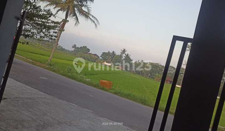For Rent House - Godean District, Sleman Regency, Special Region of Yogyakarta