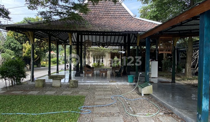 RUMAH SUPER LUAS BANTUL 1
