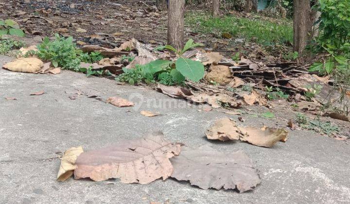 Tanah - Ngepek Argodadi Sedayu Bantul 1
