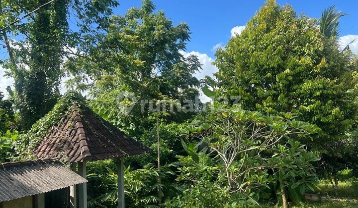 Tanah Lokasi Bagus dan Siap Bangun di Kemenuh Ubud, Bali