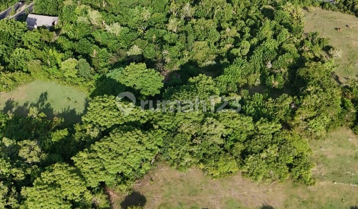 Premium tanah siap bangun lokasi Nusa Dusa Selatan, Badung, Bali Premium tanah siap bangun lokasi Nusa Dusa Selatan, Badung, Bali