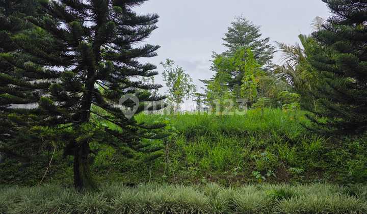 Kavling Pondok Hijau Sangat Bagus di Cluster Exclusive