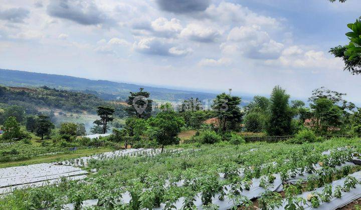 Dijual Tanah Di Sukamakmur Bogor Jawa Barat 1
