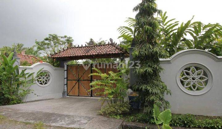 Rumah Joglo Ada Kolam Renang Cocok Jadi Hotel Restoran 3