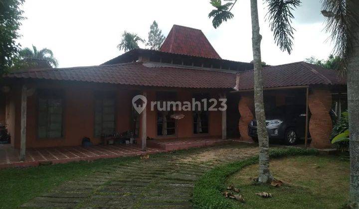 Rumah Joglo Ada Kolam Renang Cocok Jadi Hotel Restoran 4