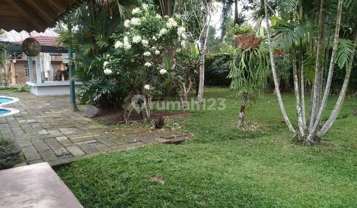 Rumah Joglo Ada Kolam Renang Cocok Jadi Hotel Restoran 5