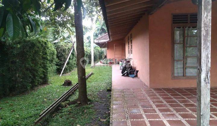 Rumah Joglo Ada Kolam Renang Cocok Jadi Hotel Restoran 6